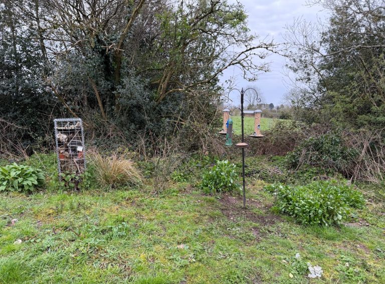 Bird Feeding Station