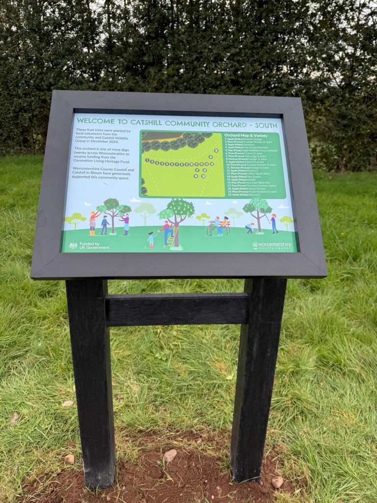 Catshill Community Orchards