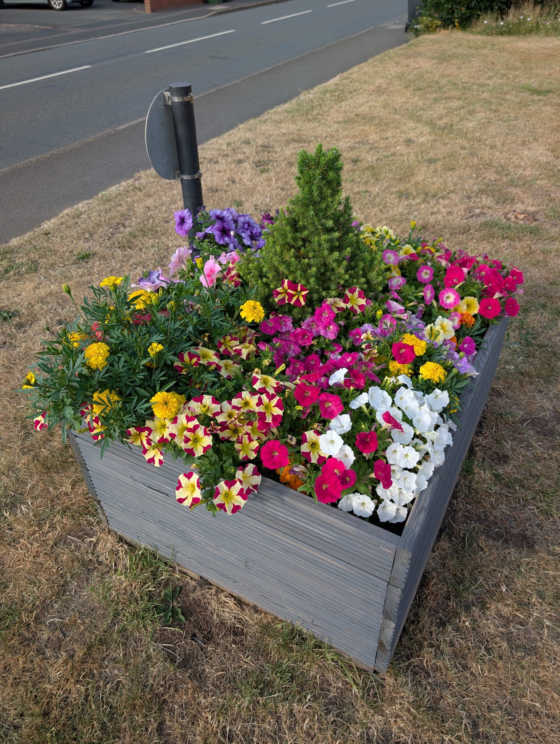 Flowerbeds3